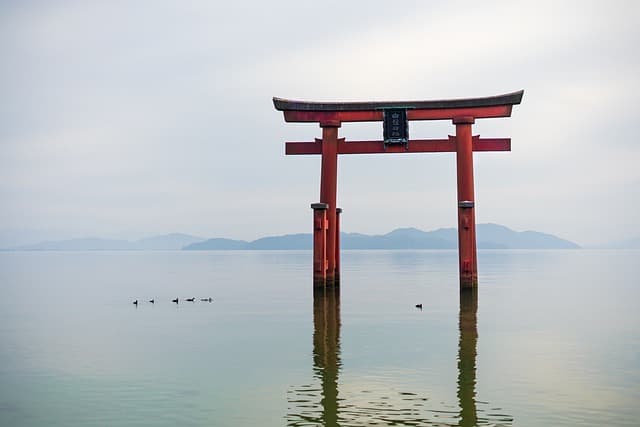 環境に配慮した作業の様子